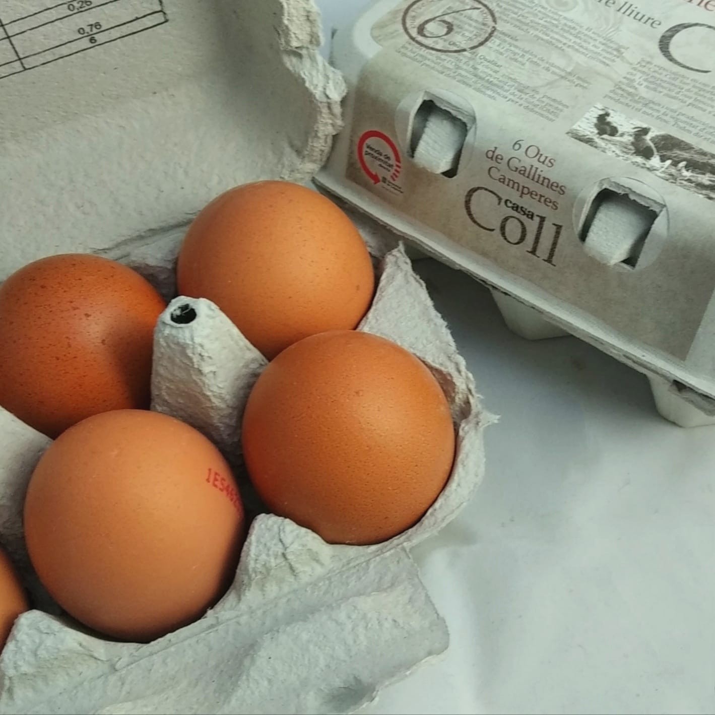 huevos camperos 6u