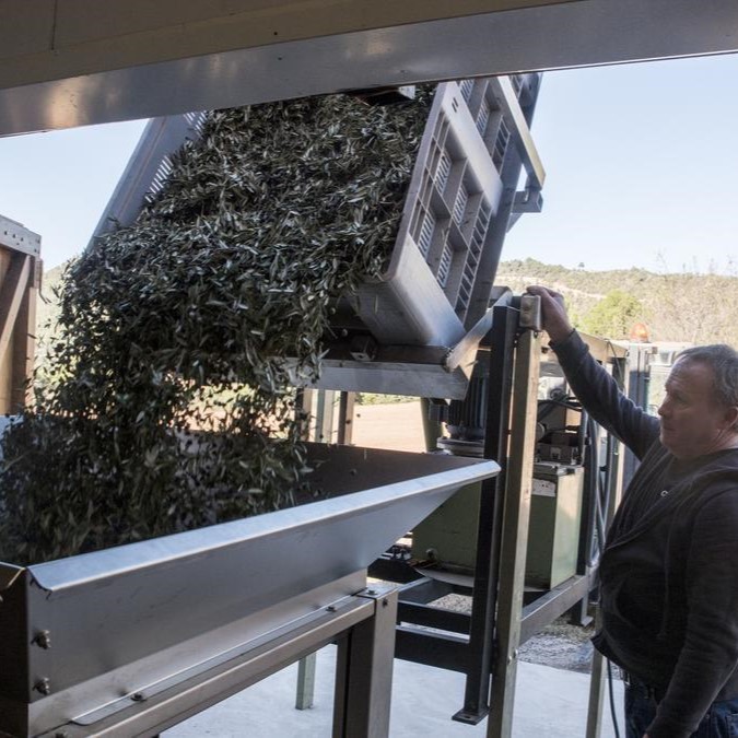 Celler El Molí, Collbaix