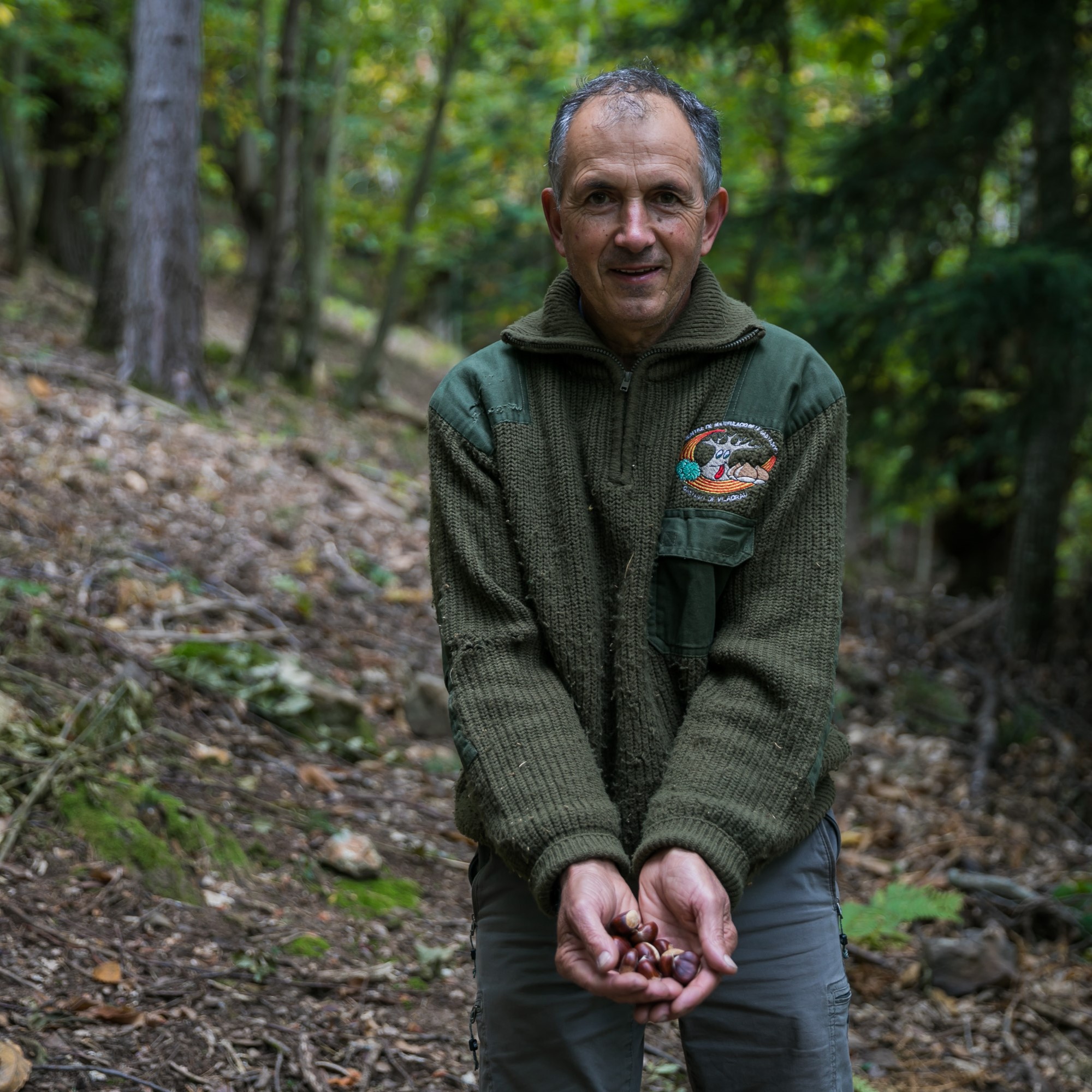 Castanya de Viladrau